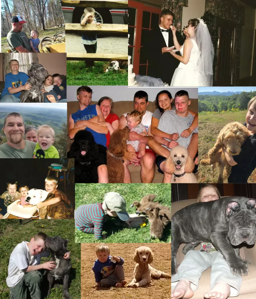 Three generations of the Strong family and their dogs